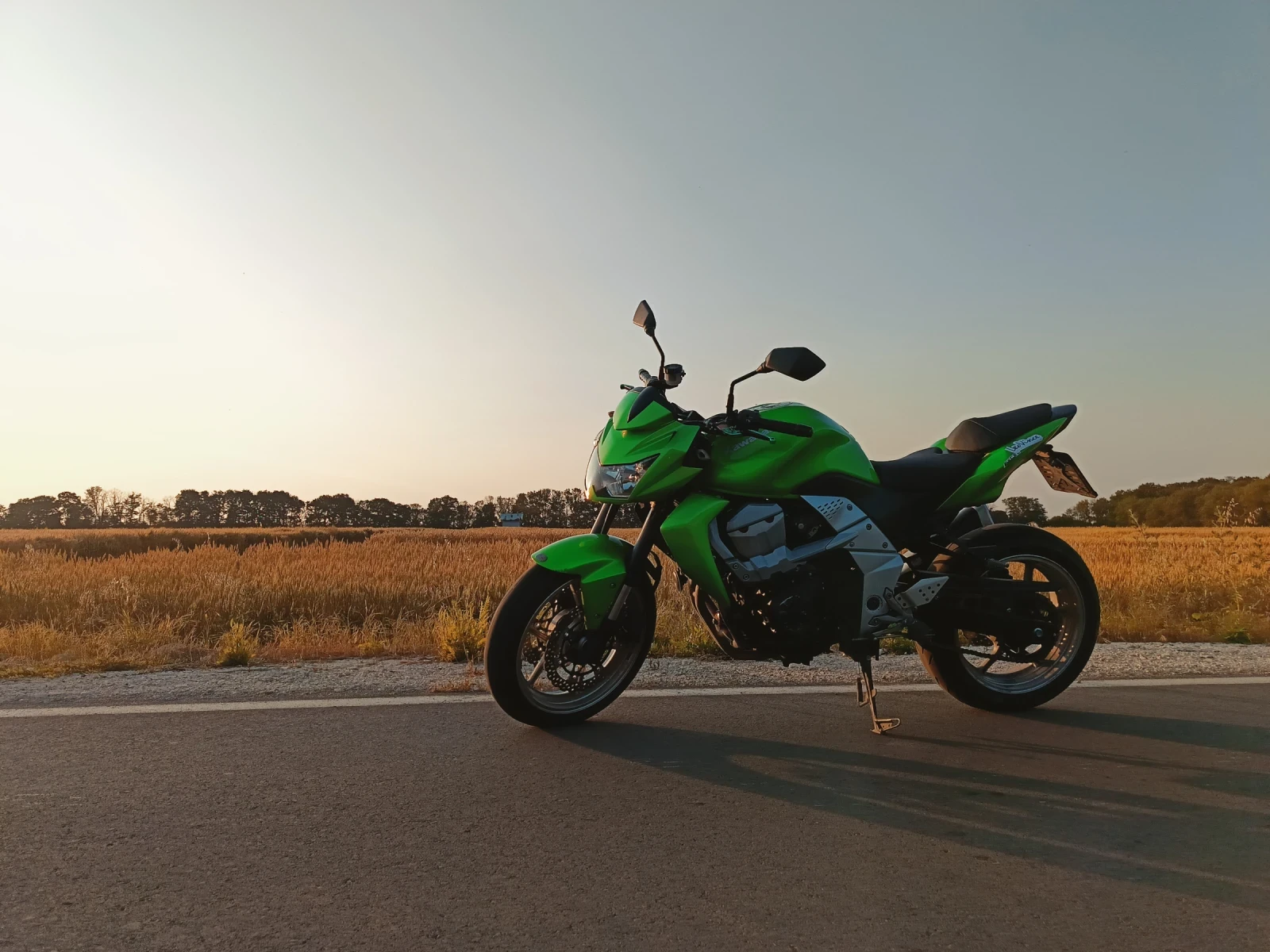 Kawasaki Z  - изображение 2