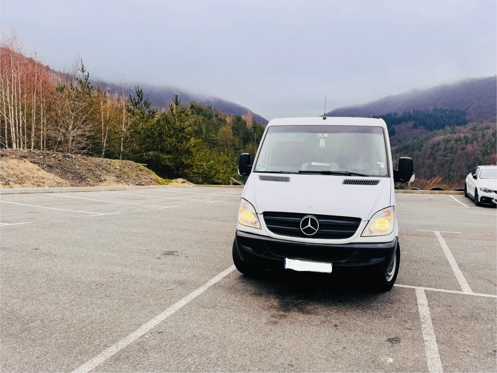 Mercedes-Benz 316  - изображение 2