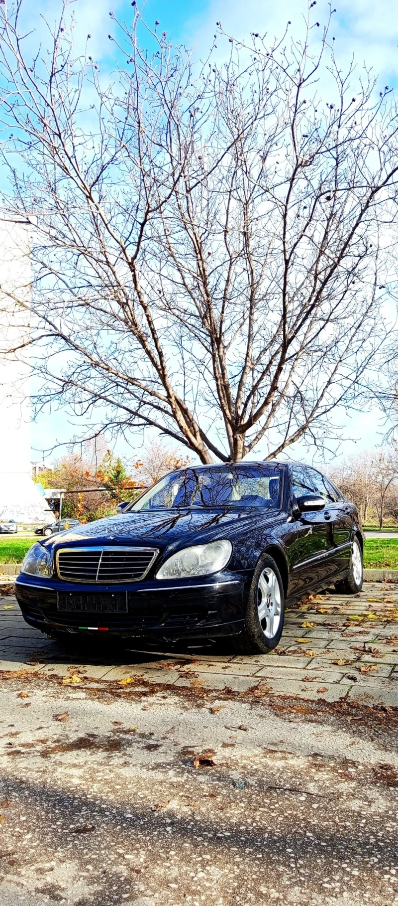Mercedes-Benz S 320 S320CDI Black Gold, Нов внос Italia, 188499km, снимка 6 - Автомобили и джипове - 52721754