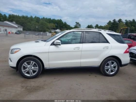 Mercedes-Benz ML 350 4MATIC *   *  | Mobile.bg    8
