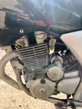 Honda Cbf | Mobile.bg � ����� ������ 5