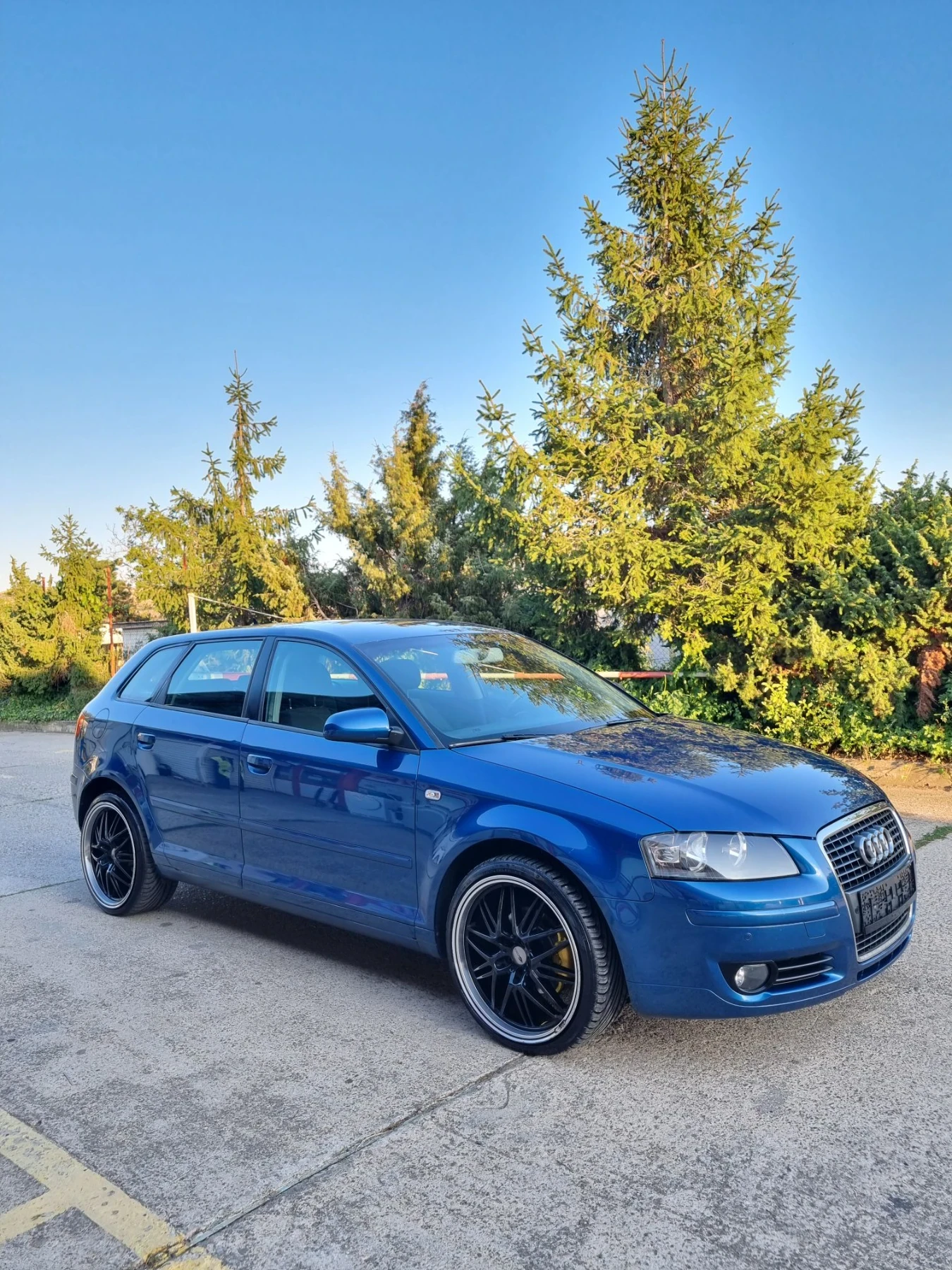 Audi A3 1.9tdi 105 коня, снимка 2 - Автомобили и джипове - 55729961