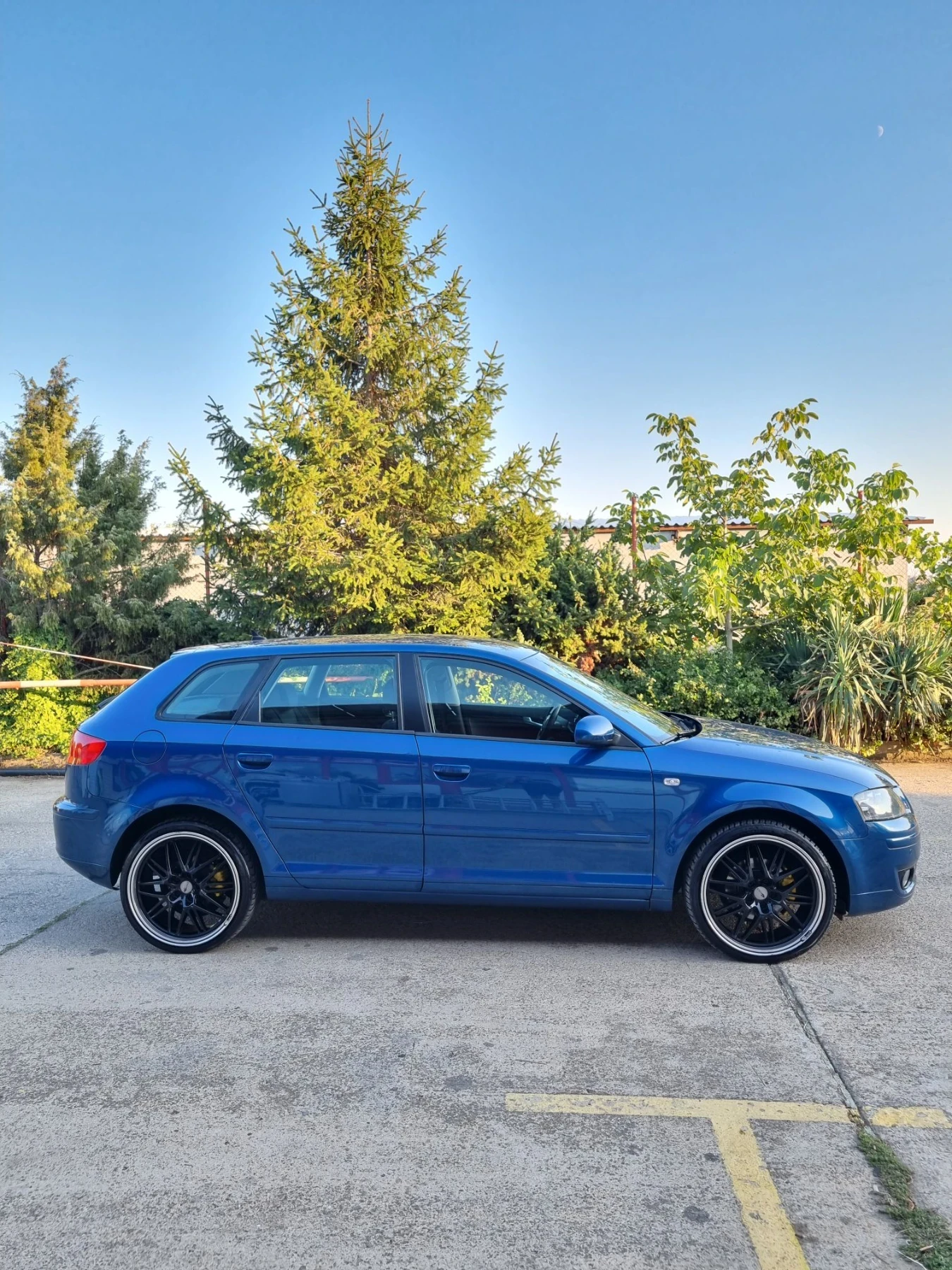 Audi A3 1.9tdi 105 коня, снимка 3 - Автомобили и джипове - 55729961