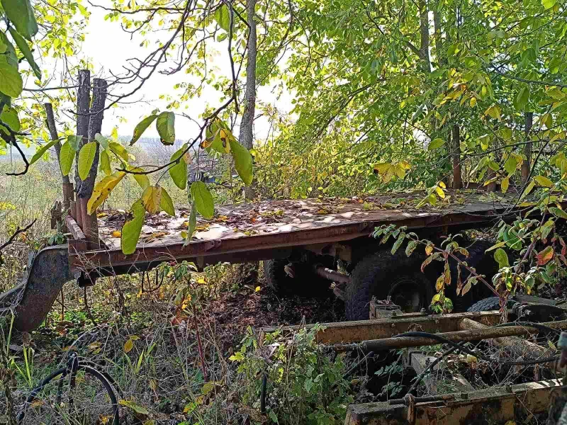 Специализирани машини Машини за дърводобив Tрактор, лебедка, ремарке с щипка , снимка 7 - Селскостопанска техника - 52410798