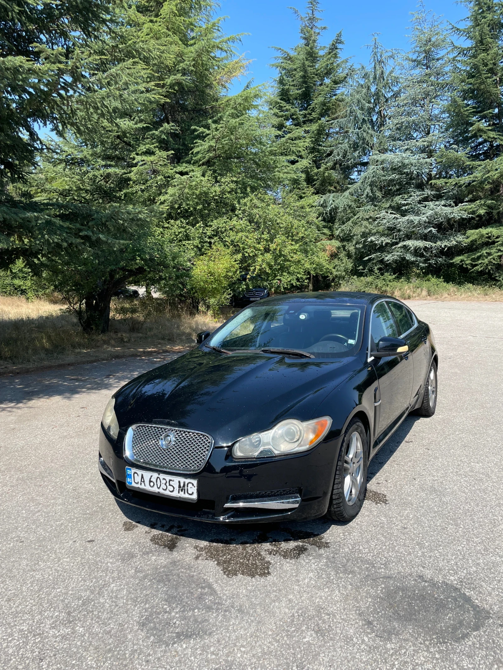 Jaguar Xf