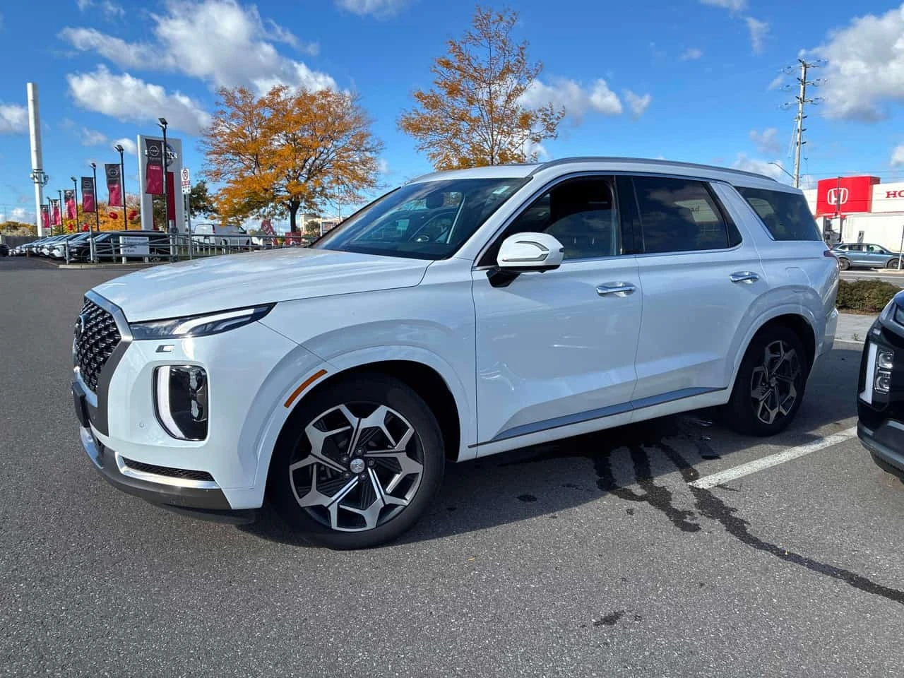 Hyundai Palisade Ultimate Calligraphy | ���������������� �� HYUNDAI | Mobile.bg � ����������� 3