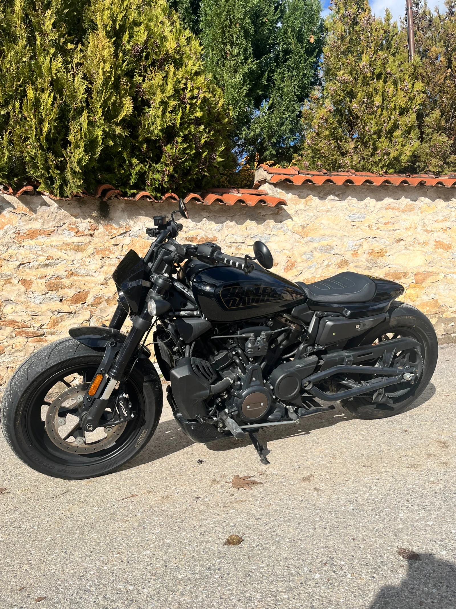 Harley-Davidson Sportster RH 1250 - изображение 5