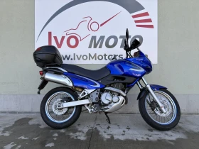 ������ Suzuki XF
