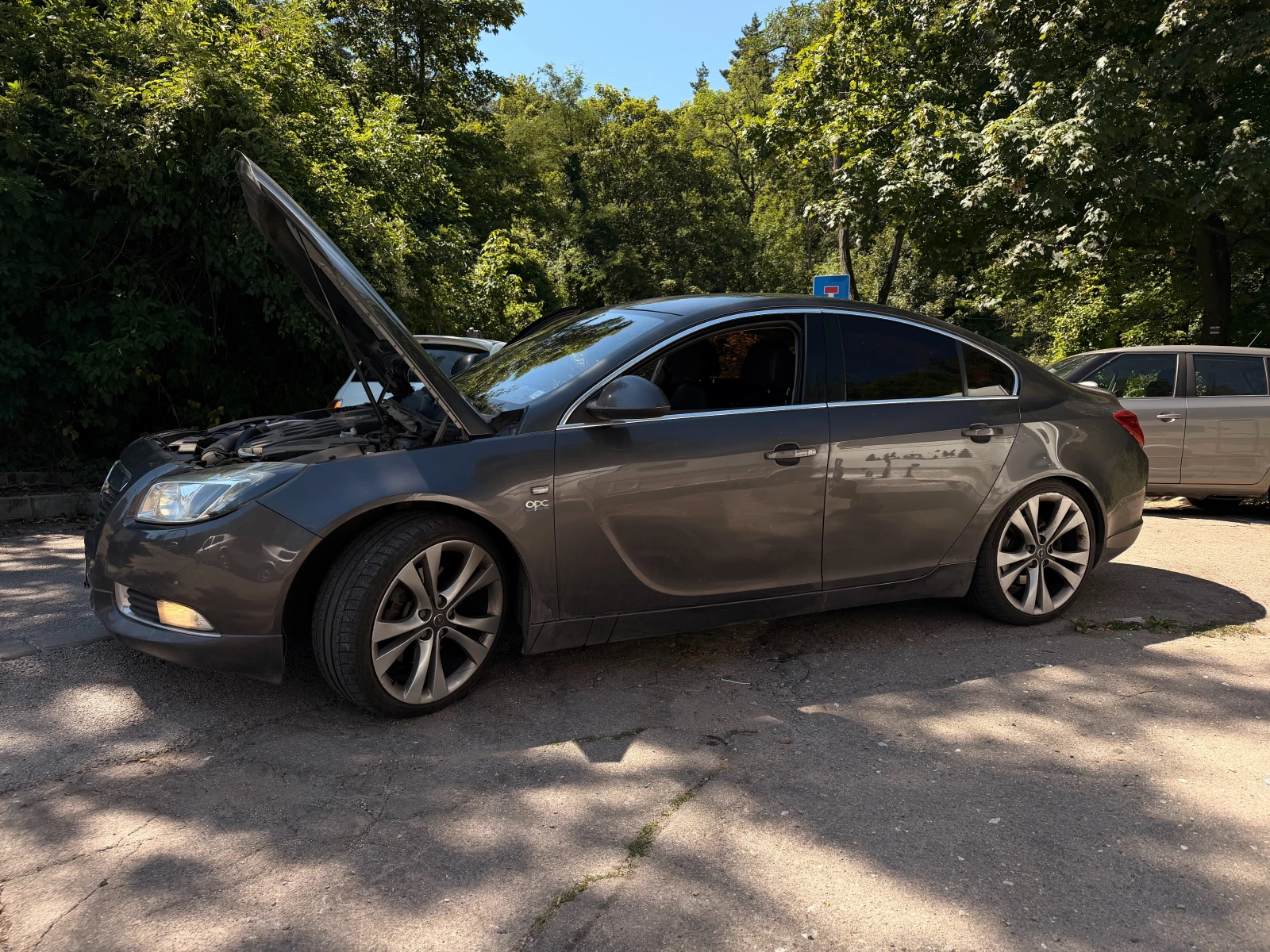 Opel Insignia V6, снимка 9 - Автомобили и джипове - 55485178