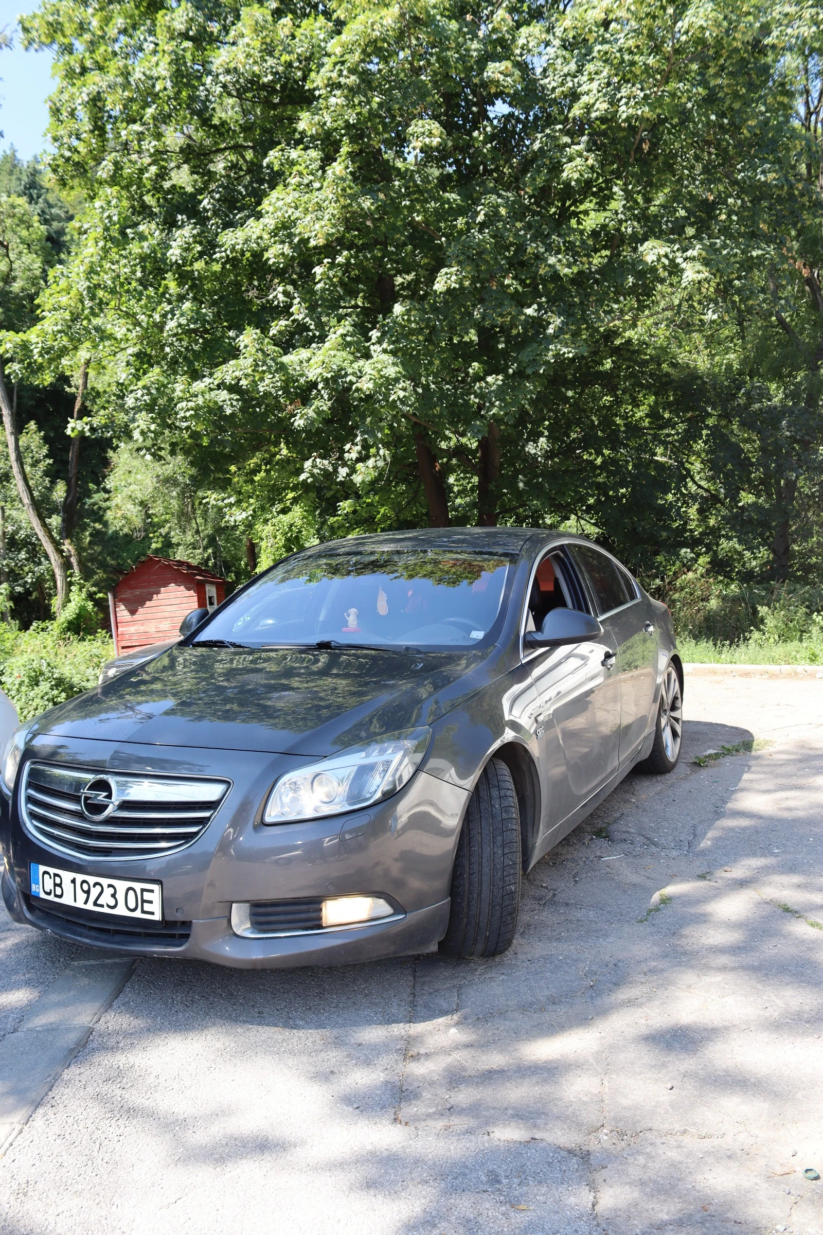 Opel Insignia V6