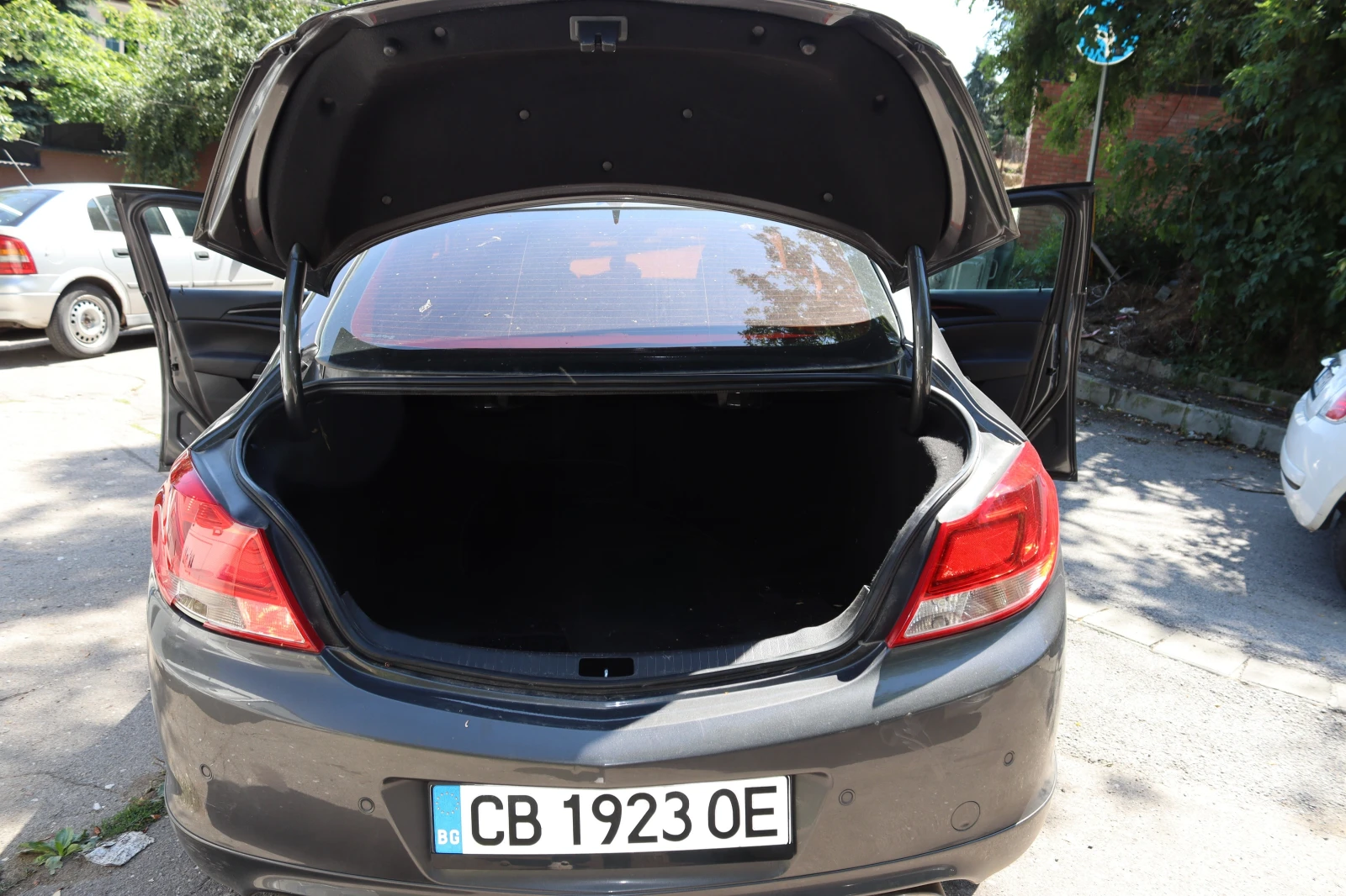 Opel Insignia V6, снимка 6 - Автомобили и джипове - 55485178