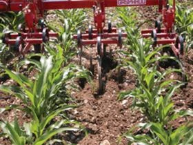 Култиватор Maschio  ПРОМО Навесен окопен култиваторHS   6R или 8R FIX, снимка 6