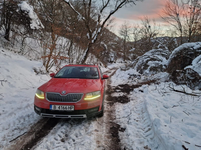 Skoda Octavia Scout, снимка 1 - Автомобили и джипове - 49604007