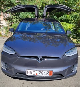     Tesla Model X Raven