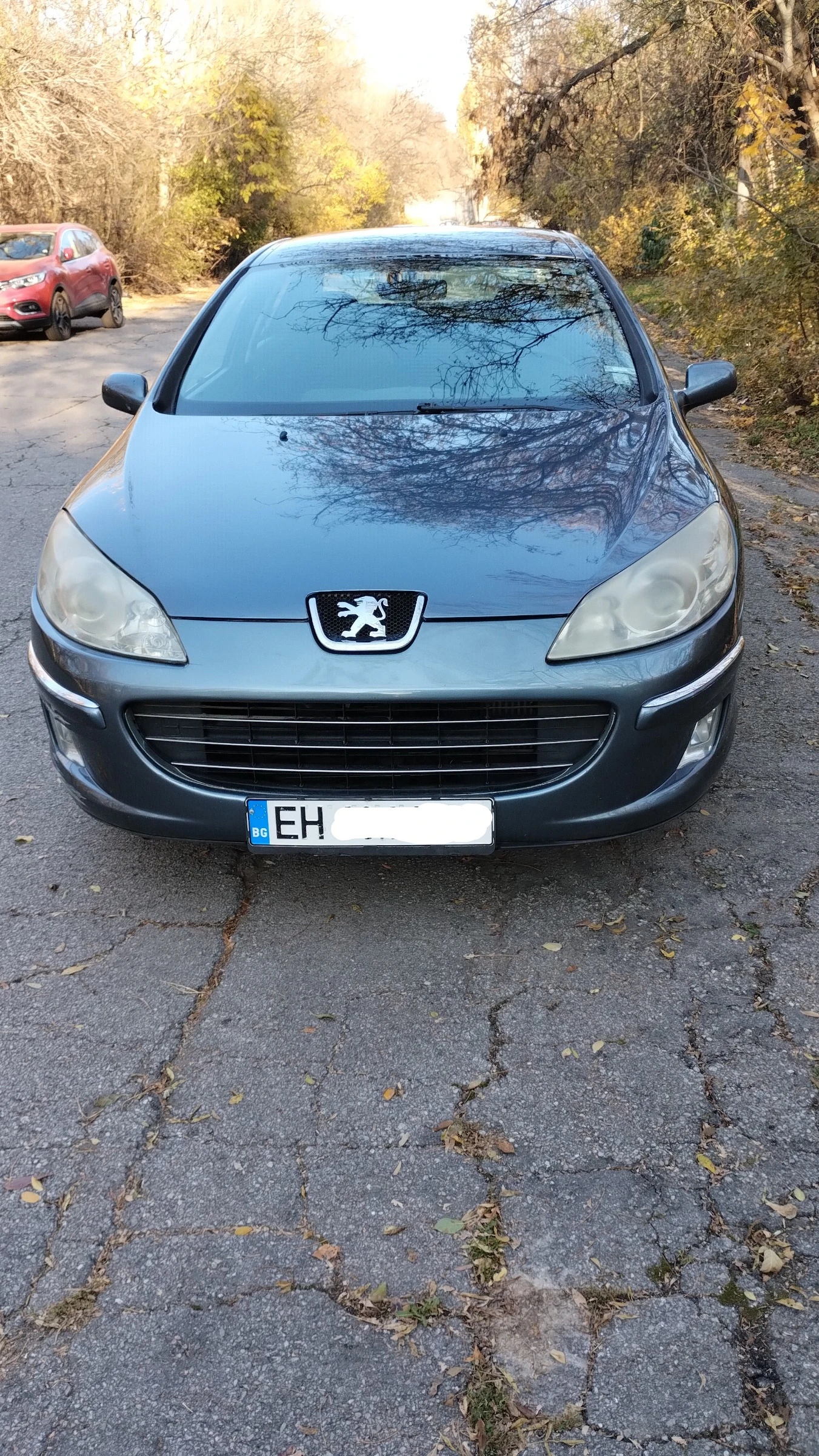 Peugeot 407 2.0 HDI - 136 кс - изображение 2