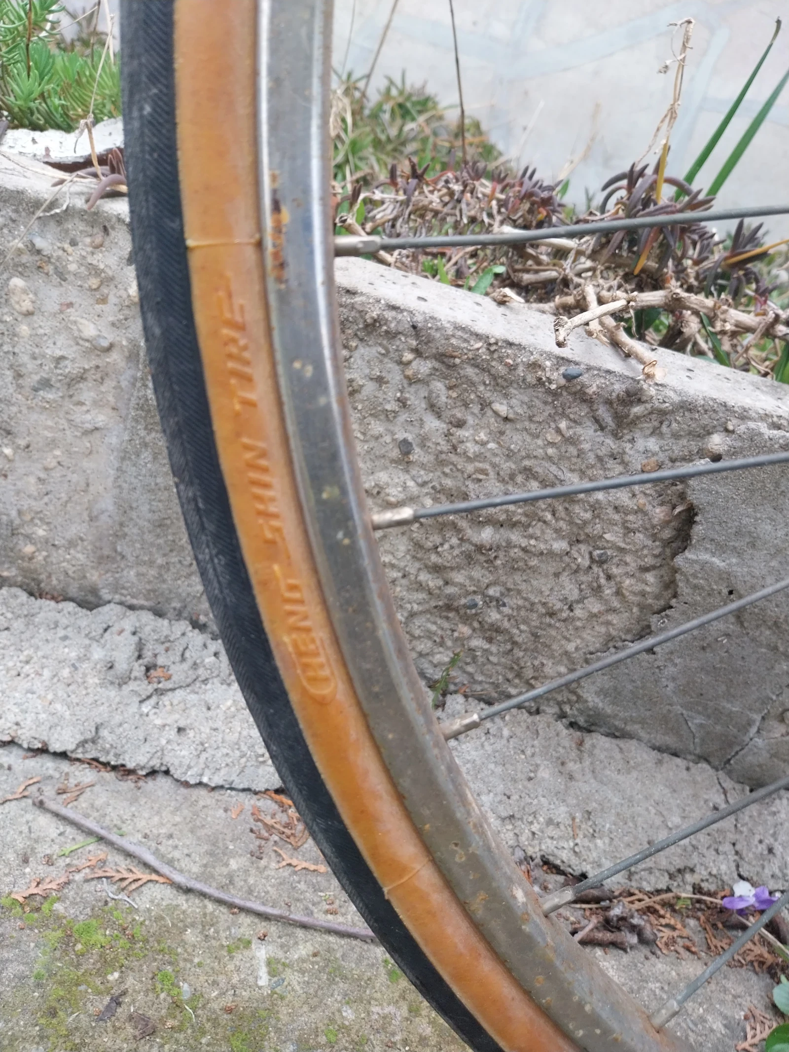 ������ | Mobile.bg � ����������� 8