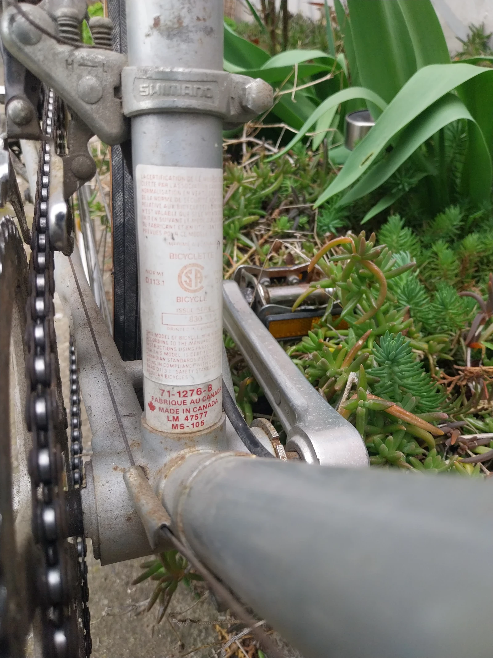 ������ | Mobile.bg � ����������� 4