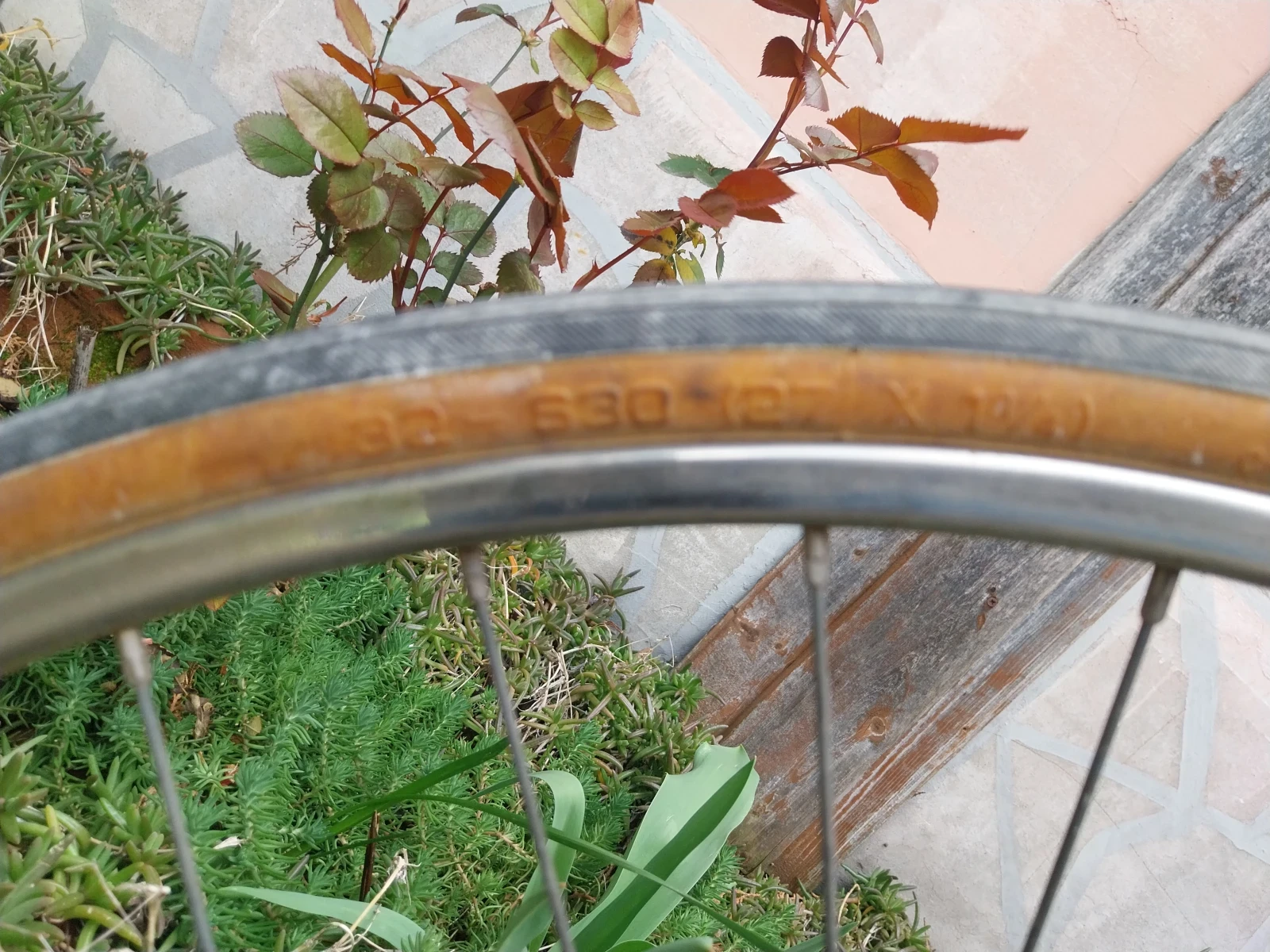 ������ | Mobile.bg � ����������� 7