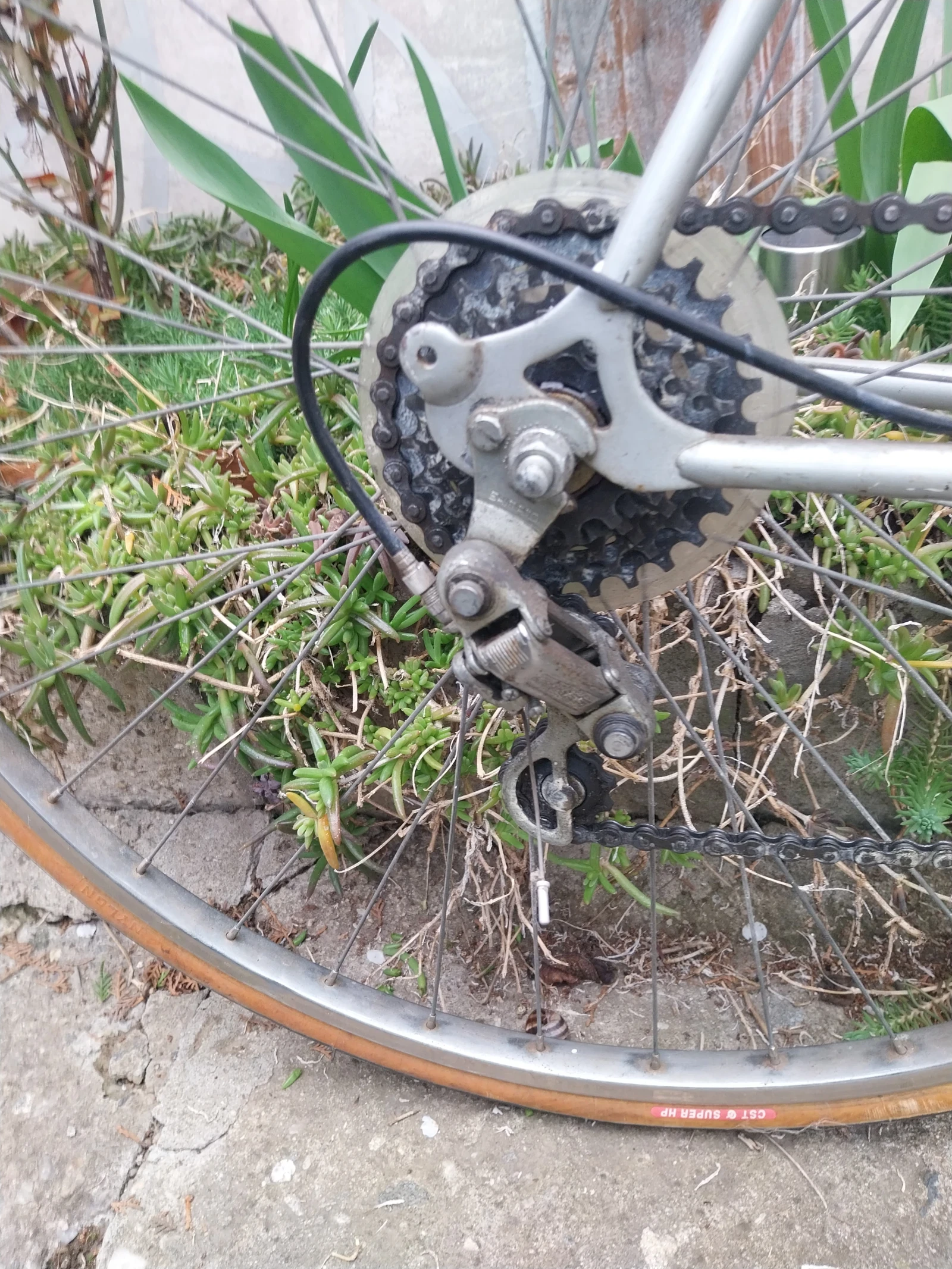 ������ | Mobile.bg � ����������� 6