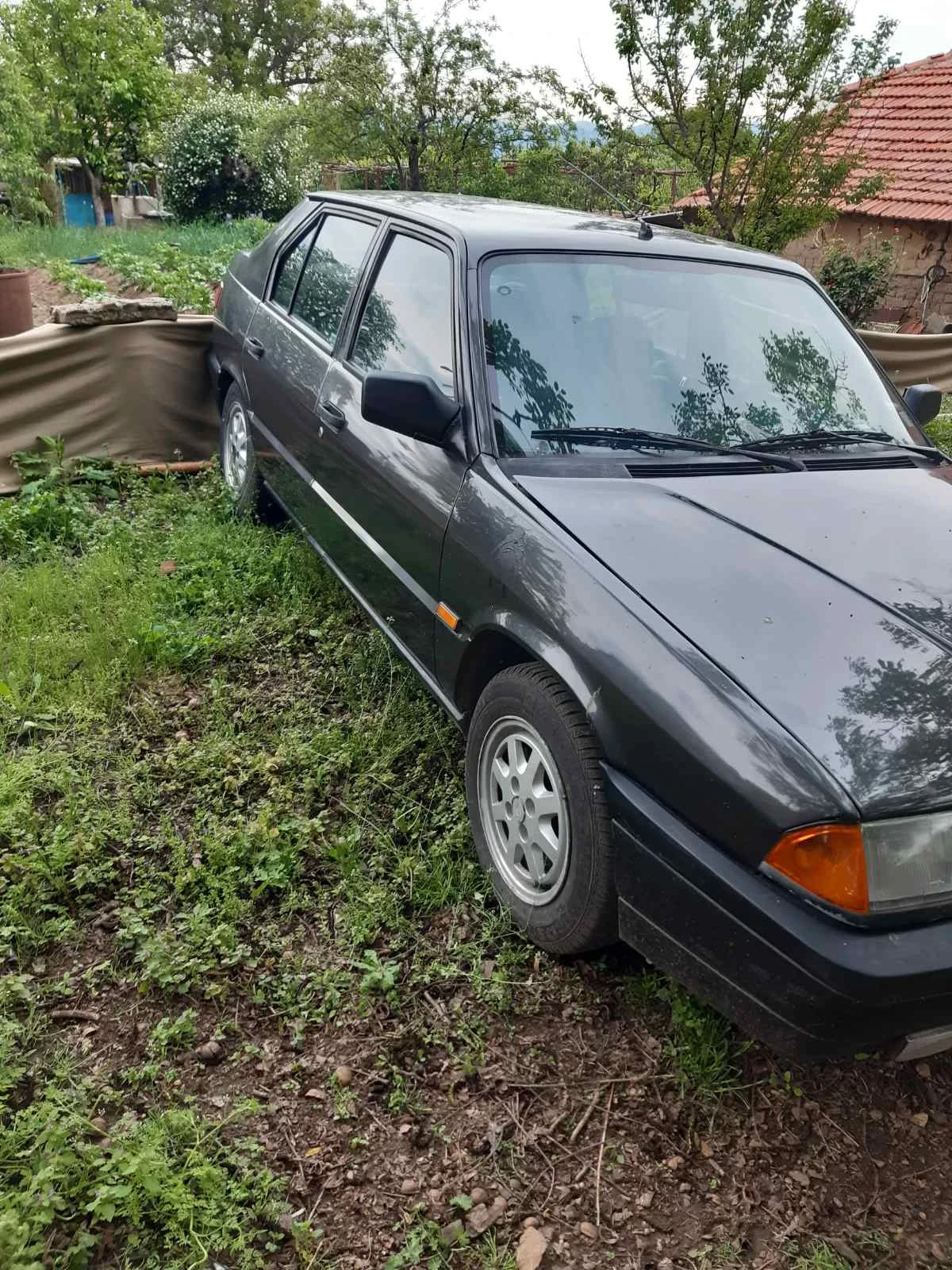 Alfa Romeo 33 1.7 ие - изображение 2