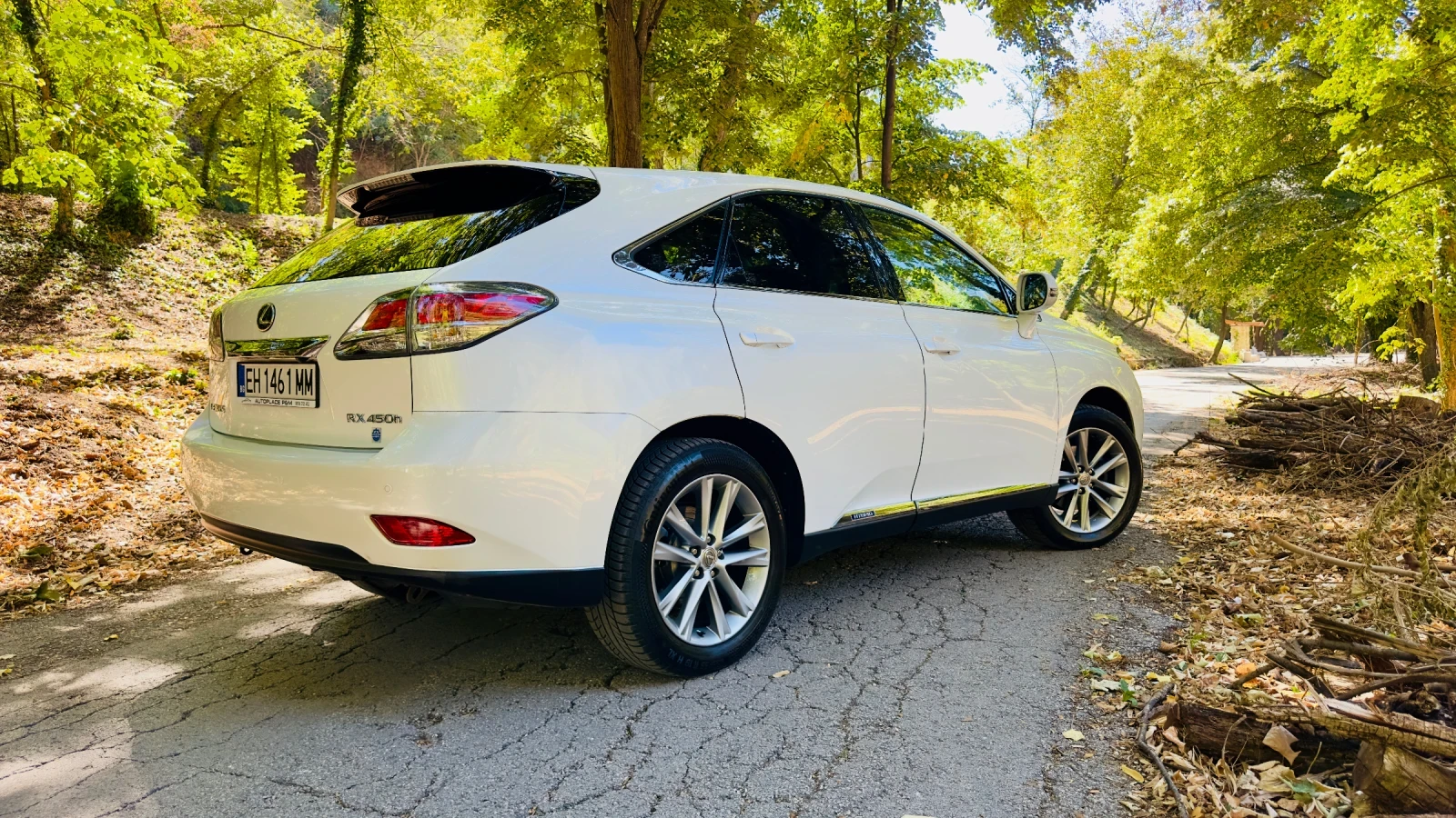 Lexus RX 450h Rx450h President, снимка 6 - Автомобили и джипове - 56007392