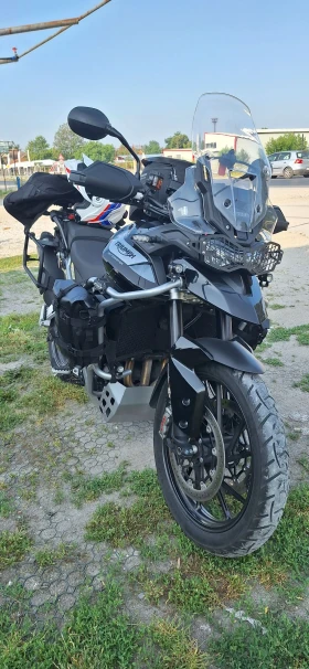  Triumph Tiger