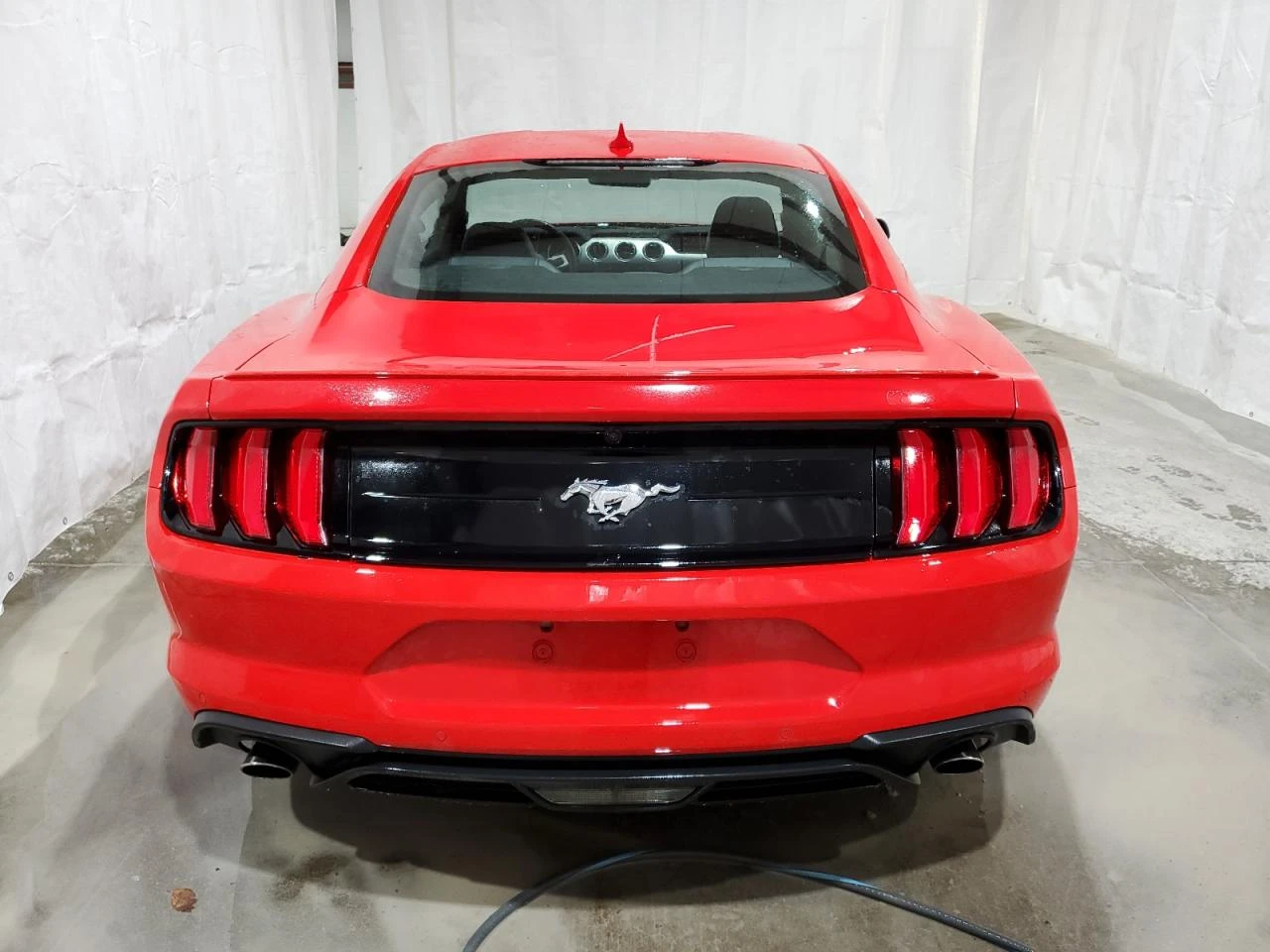 Ford Mustang  - изображение 2