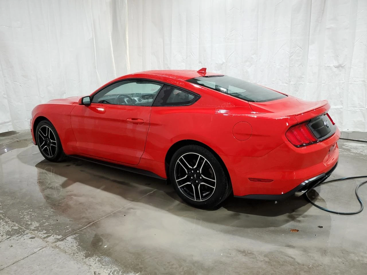 Ford Mustang  - изображение 5