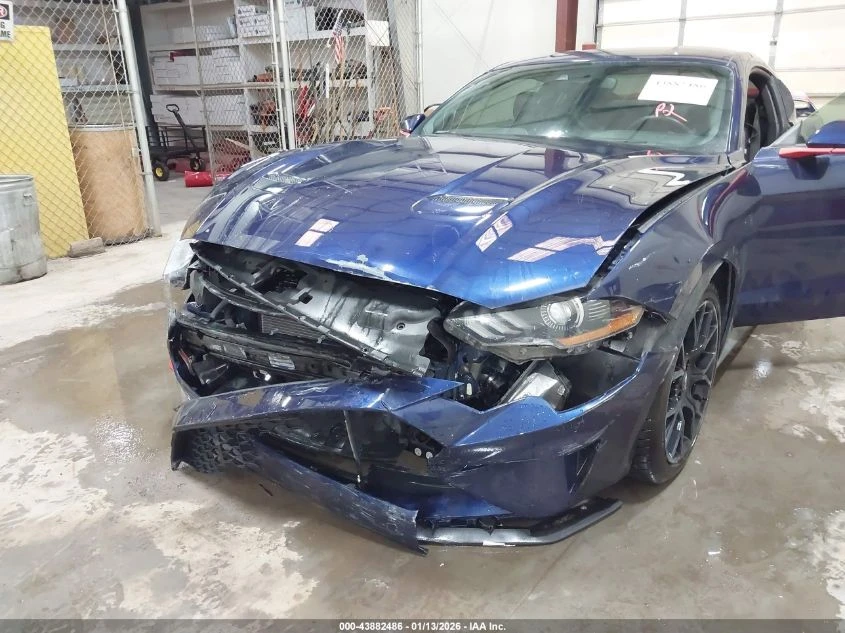 Ford Mustang 2.3L I-4 DI, DOHC, VVT, TURBO, 310HP Rear Wheel | Mobile.bg � ����������� 13