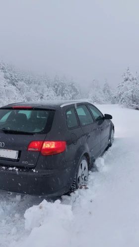 Audi A3 8P 170HP BMN QUATTRO - 5150 € / 10072.52 лв. - 94340024 2