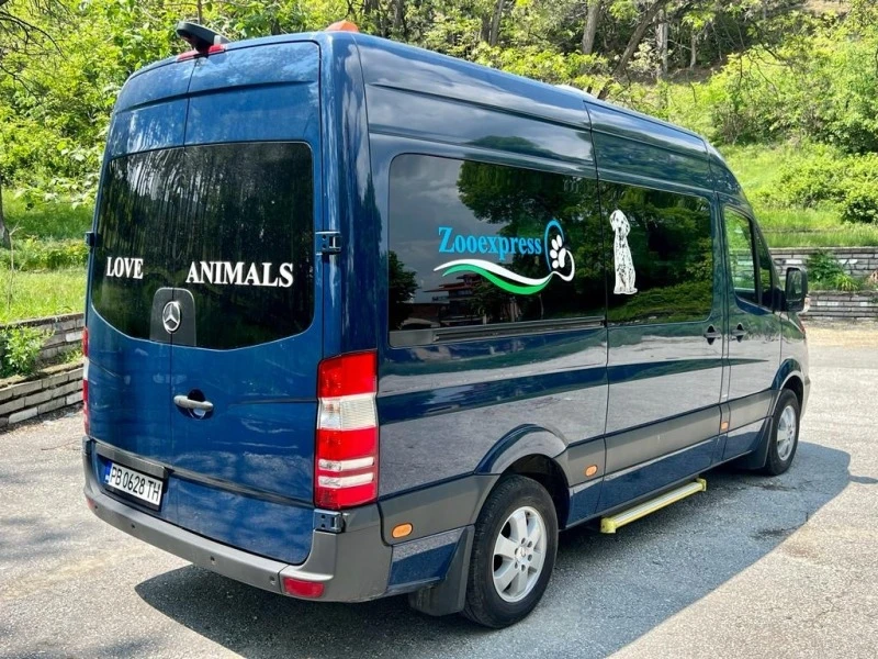 Mercedes-Benz Sprinter 316, снимка 4 - Бусове и автобуси - 47701920