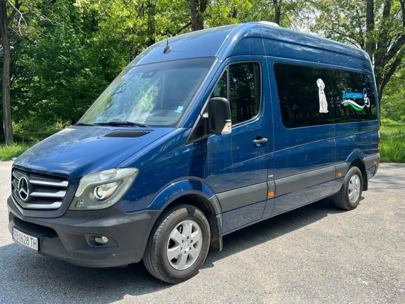 Mercedes-Benz Sprinter 316, снимка 2 - Бусове и автобуси - 47271472