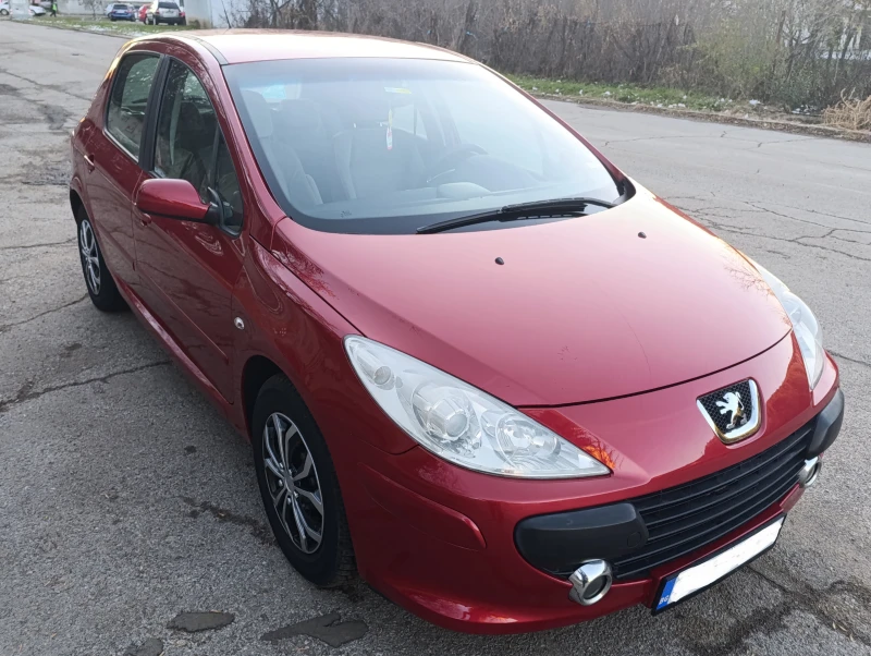 Peugeot 307 1.6 Газ, снимка 8 - Автомобили и джипове - 48804728