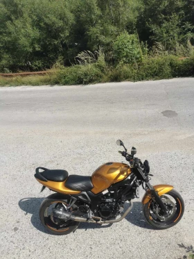 Suzuki SV, снимка 8