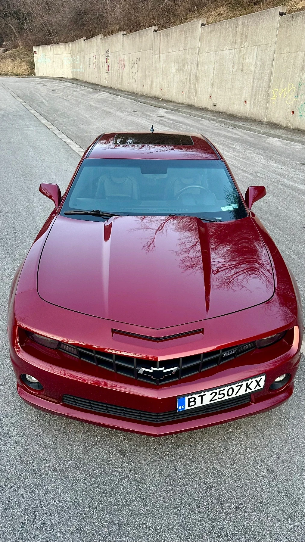 Chevrolet Camaro SS  V8 - изображение 3