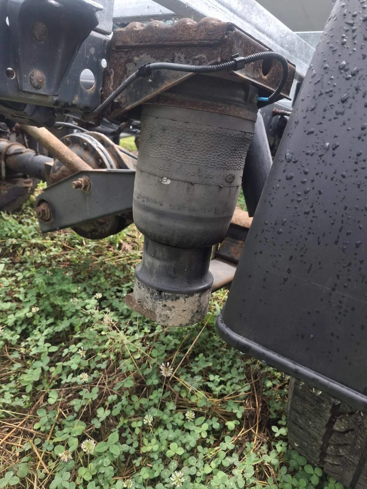 Iveco 35c15, снимка 5 - Бусове и автобуси - 55152278