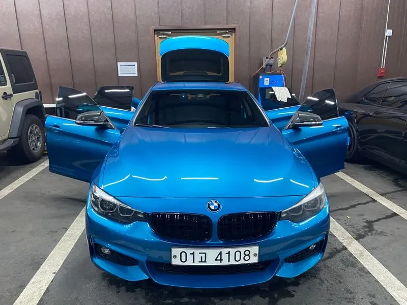 BMW 420 (F32) 420D Luxury Gran Coupe