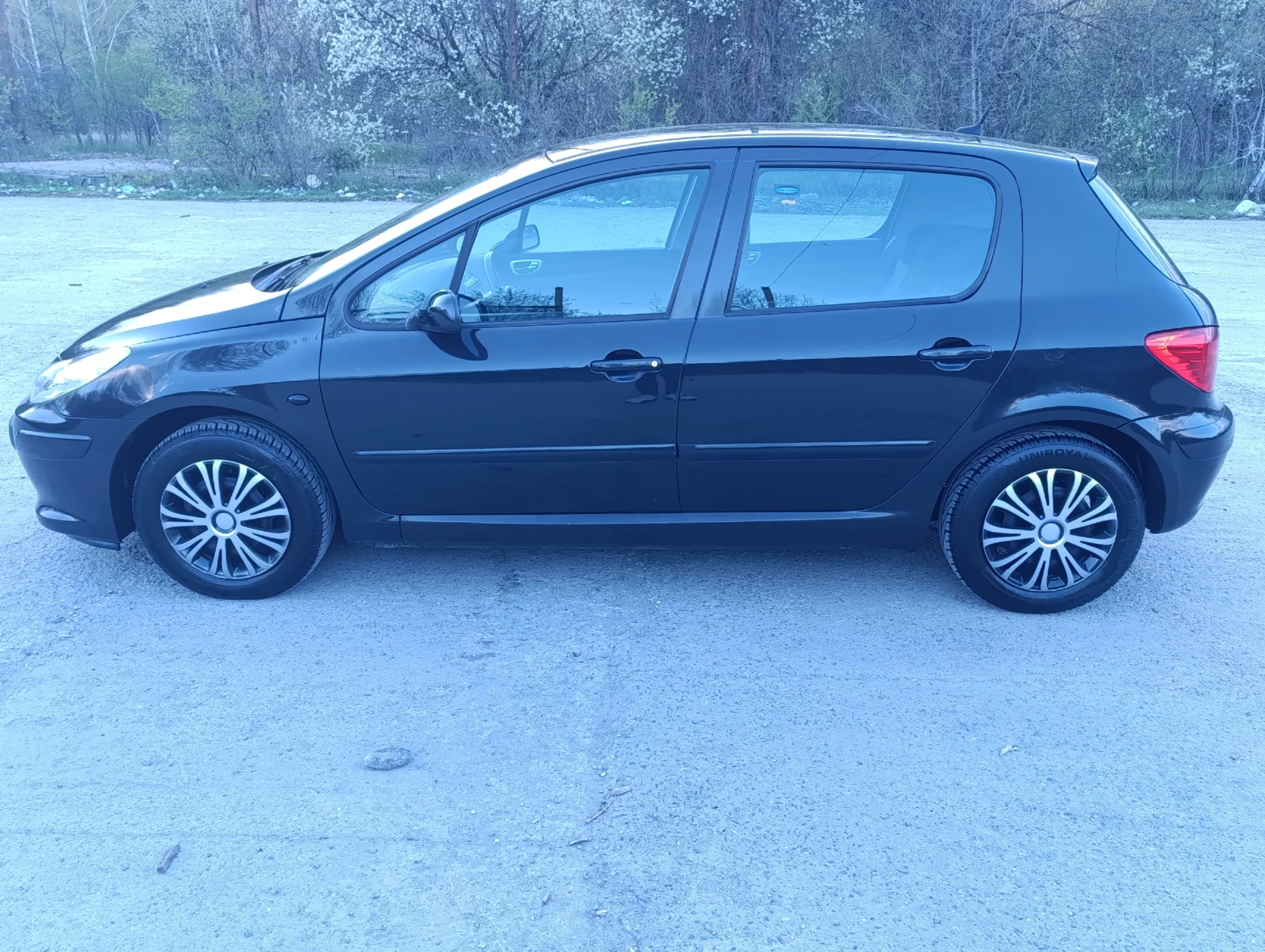 Peugeot 307 1.6i, снимка 4 - Автомобили и джипове - 55595883