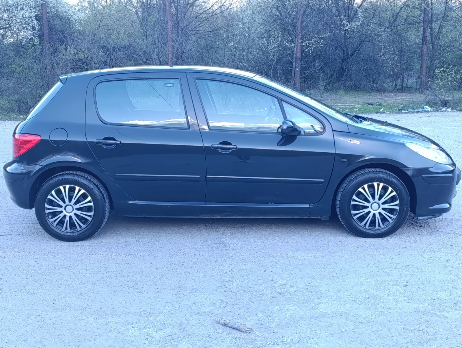 Peugeot 307 1.6i, снимка 3 - Автомобили и джипове - 55595883