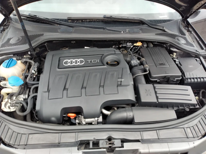 Audi A3 1.6 TDI 90 k.c., снимка 10 - Автомобили и джипове - 49749704