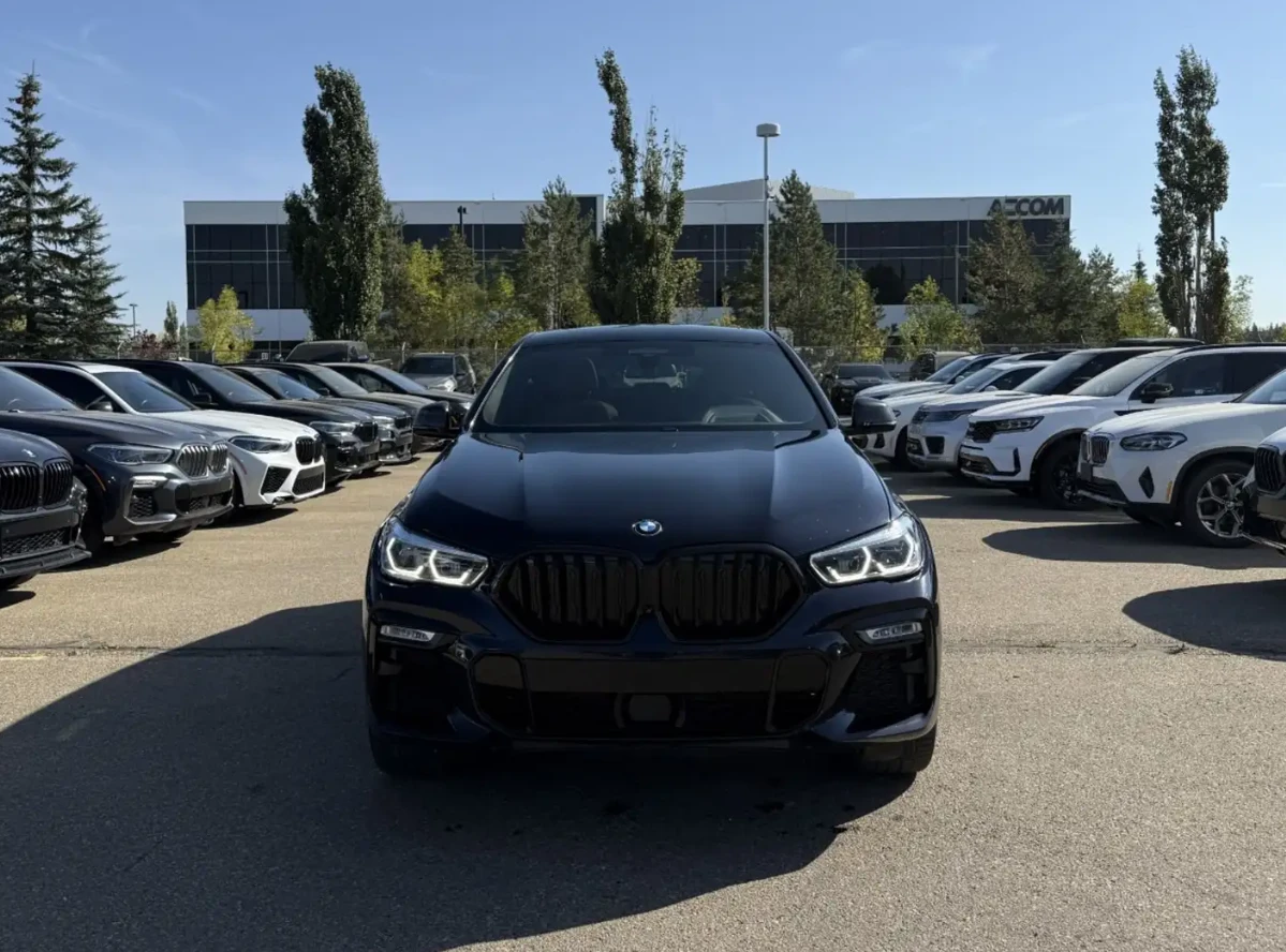 BMW X6 2021 BMW X6 M50i - изображение 2