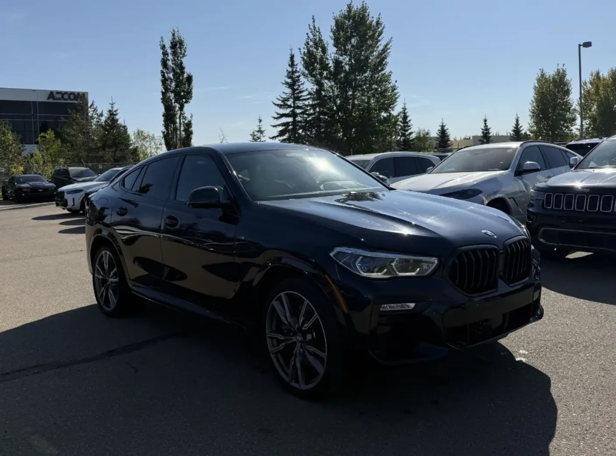 BMW X6 2021 BMW X6 M50i - изображение 3