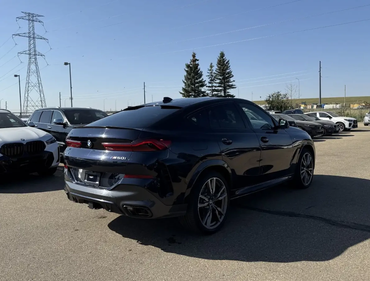 BMW X6 2021 BMW X6 M50i - изображение 6