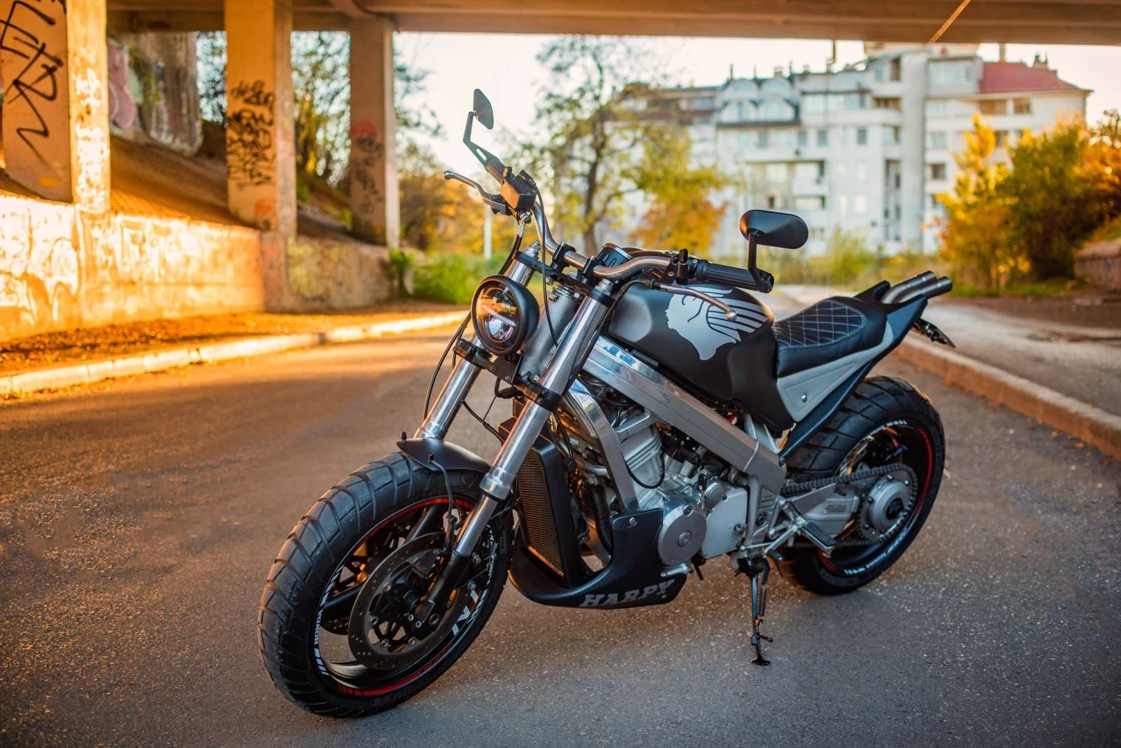 Honda Ntv BROS 650 - изображение 3