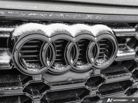 Audi SQ5 / Technik / AWD Quattro / Black Optics / ПАНОРАМА  - 47000 € / 91924.01 лв. - 50924658 11