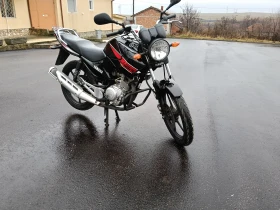 Yamaha YBR 125 | Mobile.bg    9