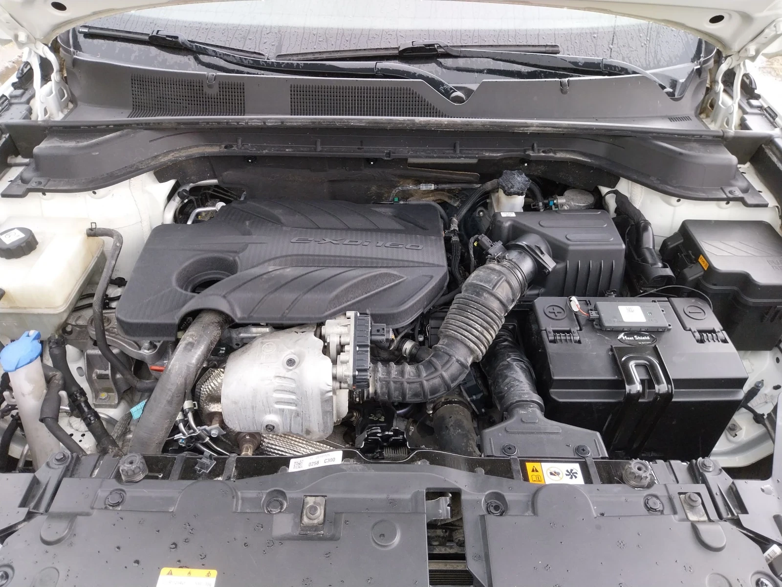 SsangYong Korando 1.6E-HDI | Mobile.bg � ����������� 17