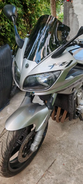 Yamaha Fazer FZS1000, снимка 1