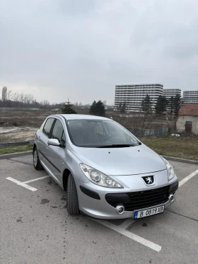  Peugeot 307