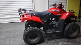 Arctic Cat TBX 300 кубика , снимка 4